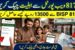 8171.bisp.gov.pk Portal 2026 – Check BISP 8171 CNIC Eligibility & Payment Status Online
