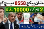 8558 Ramzan Package 2026 CNIC Check Online