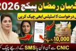 How to Check Application Status – Punjab Nigehban Ramzan Package 2026